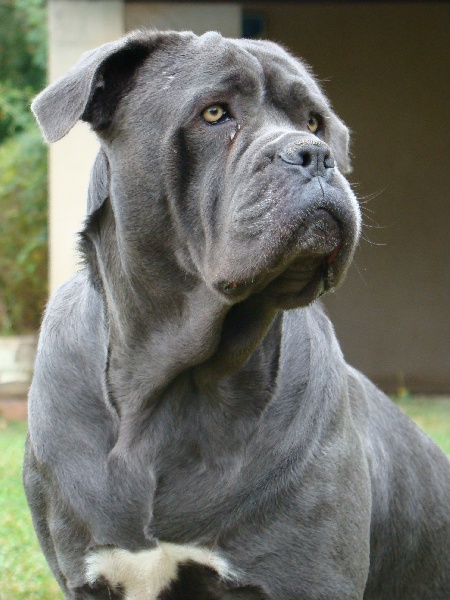 Ameria (Sans Affixe)