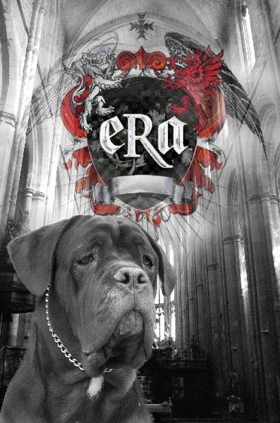Album général & production